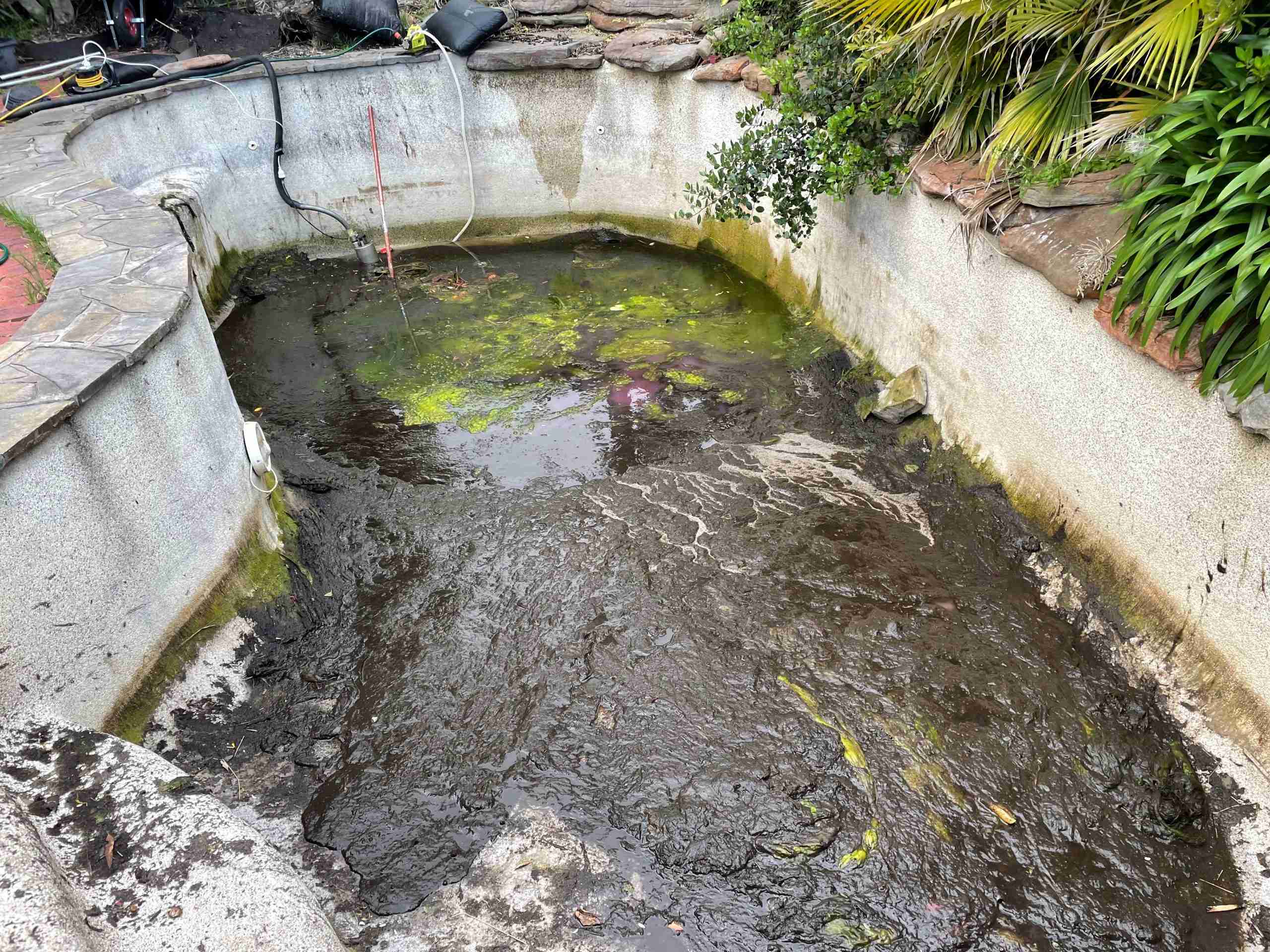 A dirty pool with sludge and slime in it before residential pressure cleaning