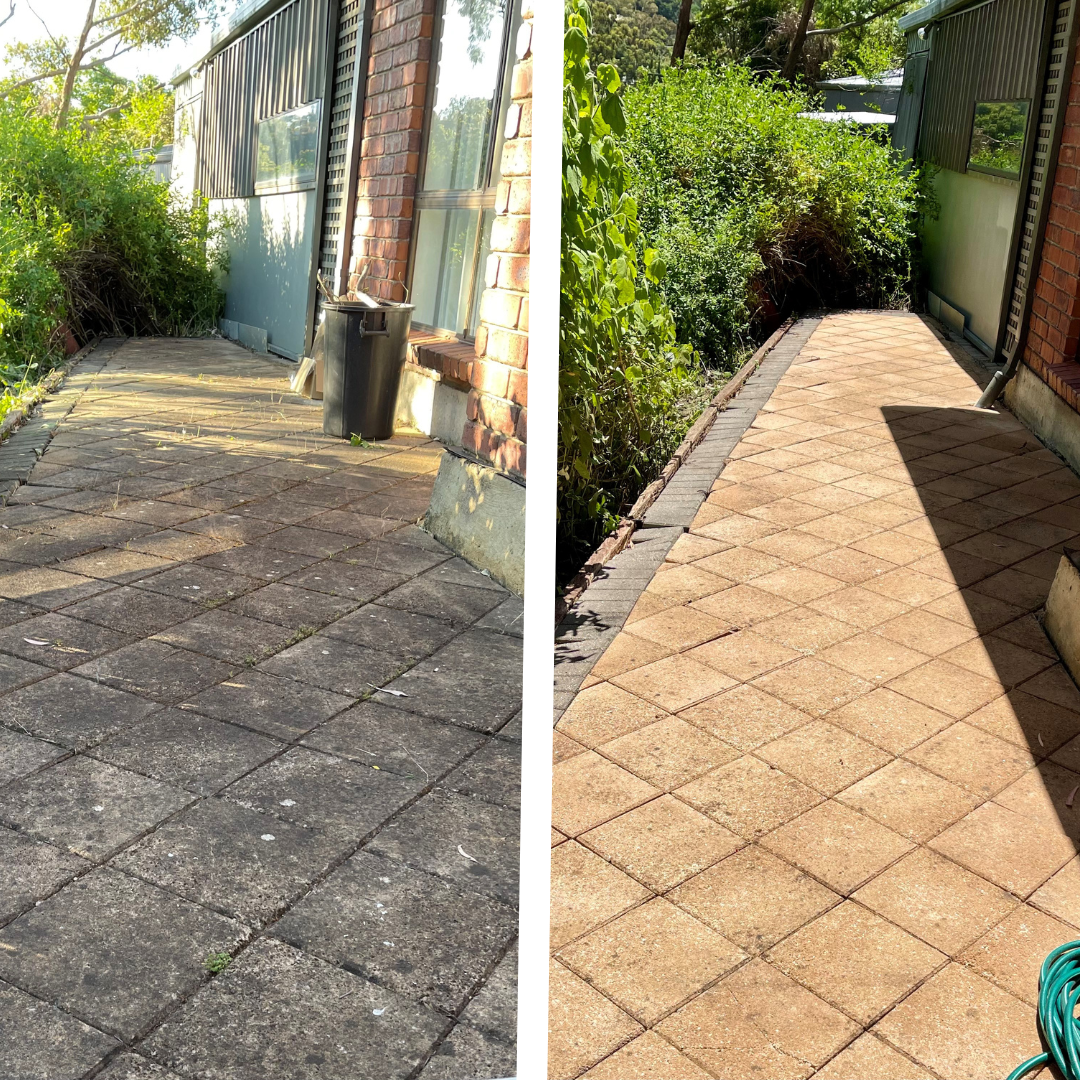 Moss Between Patio Pavers How To Remove Moss From Pavers A Handy