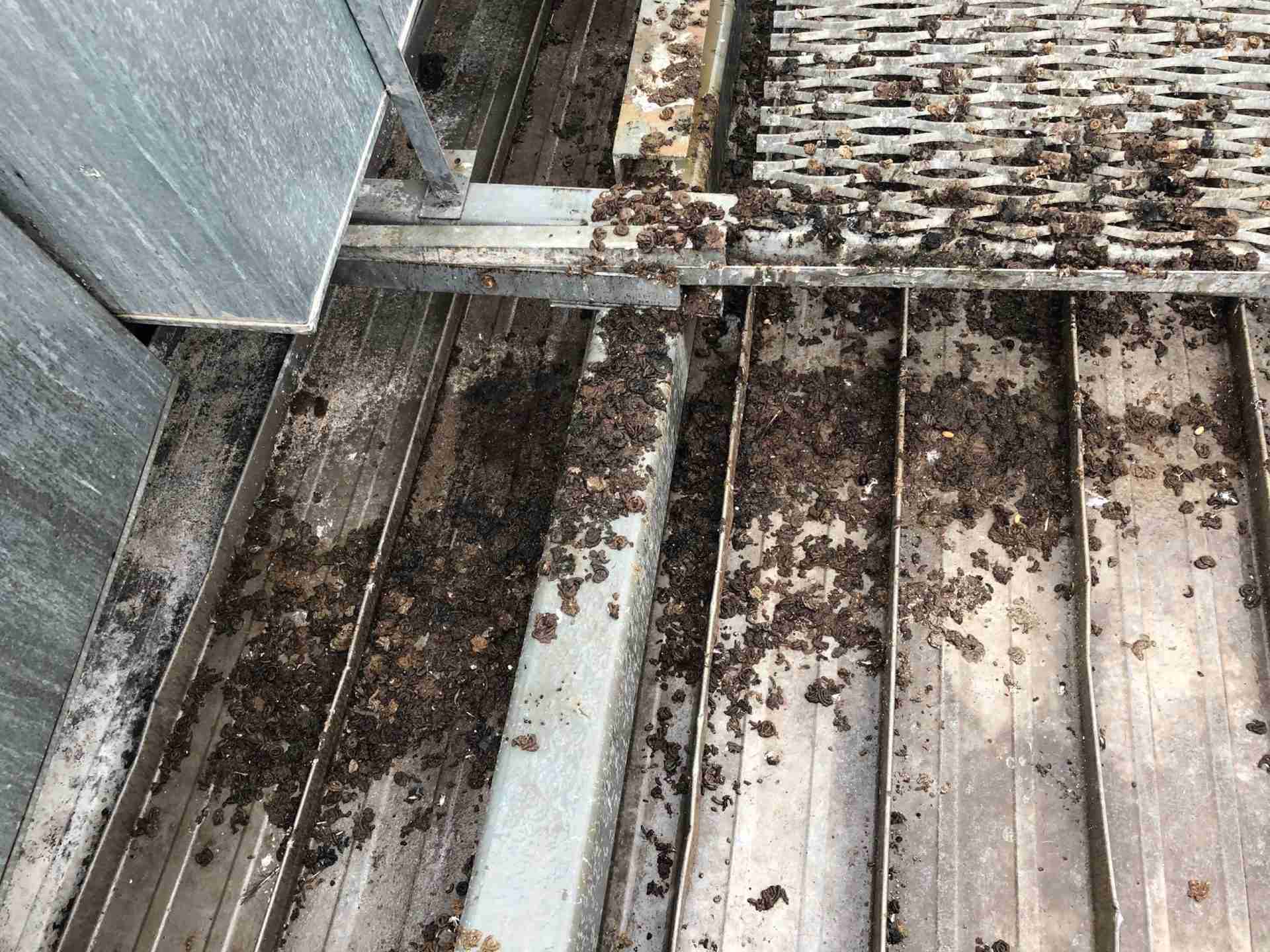 Bird poo accumulated around a commercial refrigeration unit