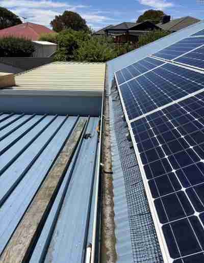 Solar panels with bird proof netting on a corrugated tin roof