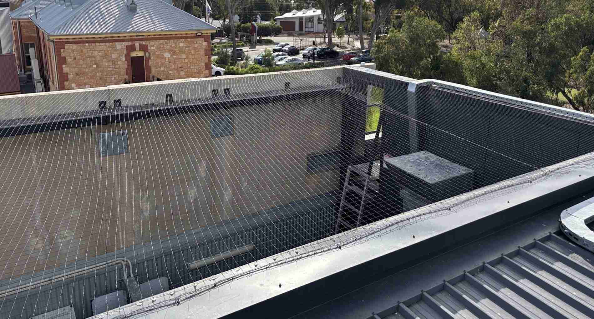 Bird proof mesh covers an open alcove